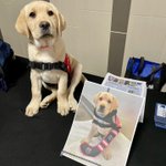 Photo by Freedom Guide Dogs (@FreedomGuideDog)
