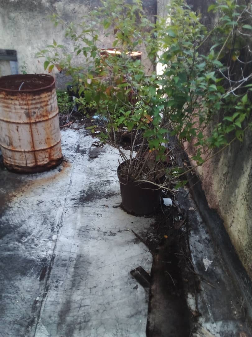 carlossalinas49's tweet photo. ¡Aquí estoy ! Impermeabilizado el techo de la biblioteca en la Universidad Monteávila, Caracas, otro trabajo más, ofrezco mis servicios de impermeabilizacion. https://t.co/IEIDVLgsyA