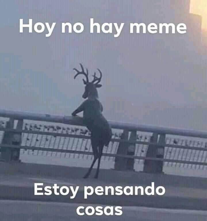 Hoy es día de descanso y paz mental.