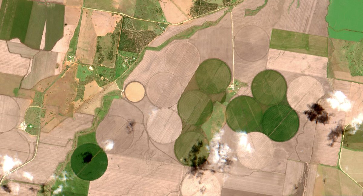 AllThingSpatial's tweet image. Rural landscapes - Australia #Sentinel2 image 2021.11.15 segmented NDVI and true colour RGB
#EarthObservation #remotesensing