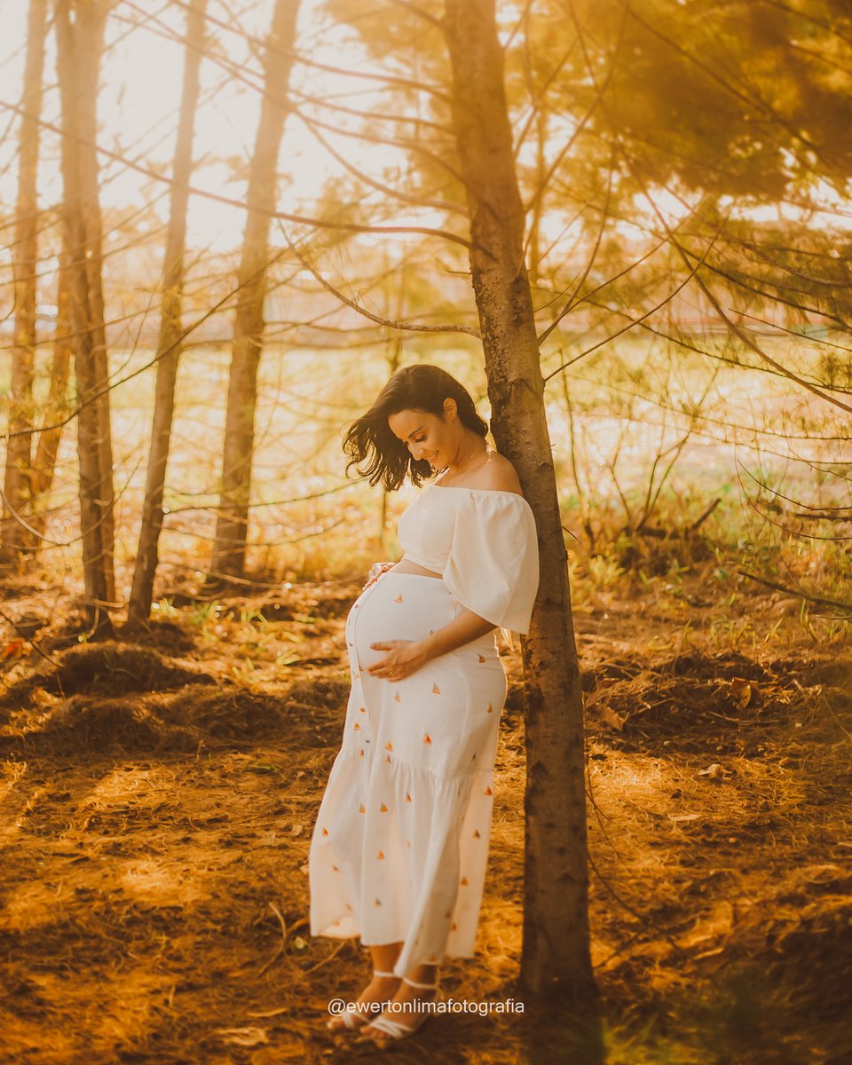 Ewerton Lima tweet media