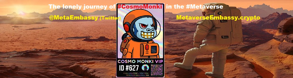 CoinMystic's tweet photo. #CosmoMonki in search of the #MetaEmbassy @LilMonkiNFT #MetaverseEmbassy.crypto @MetaEmbassy https://t.co/qpDsmXMdmg