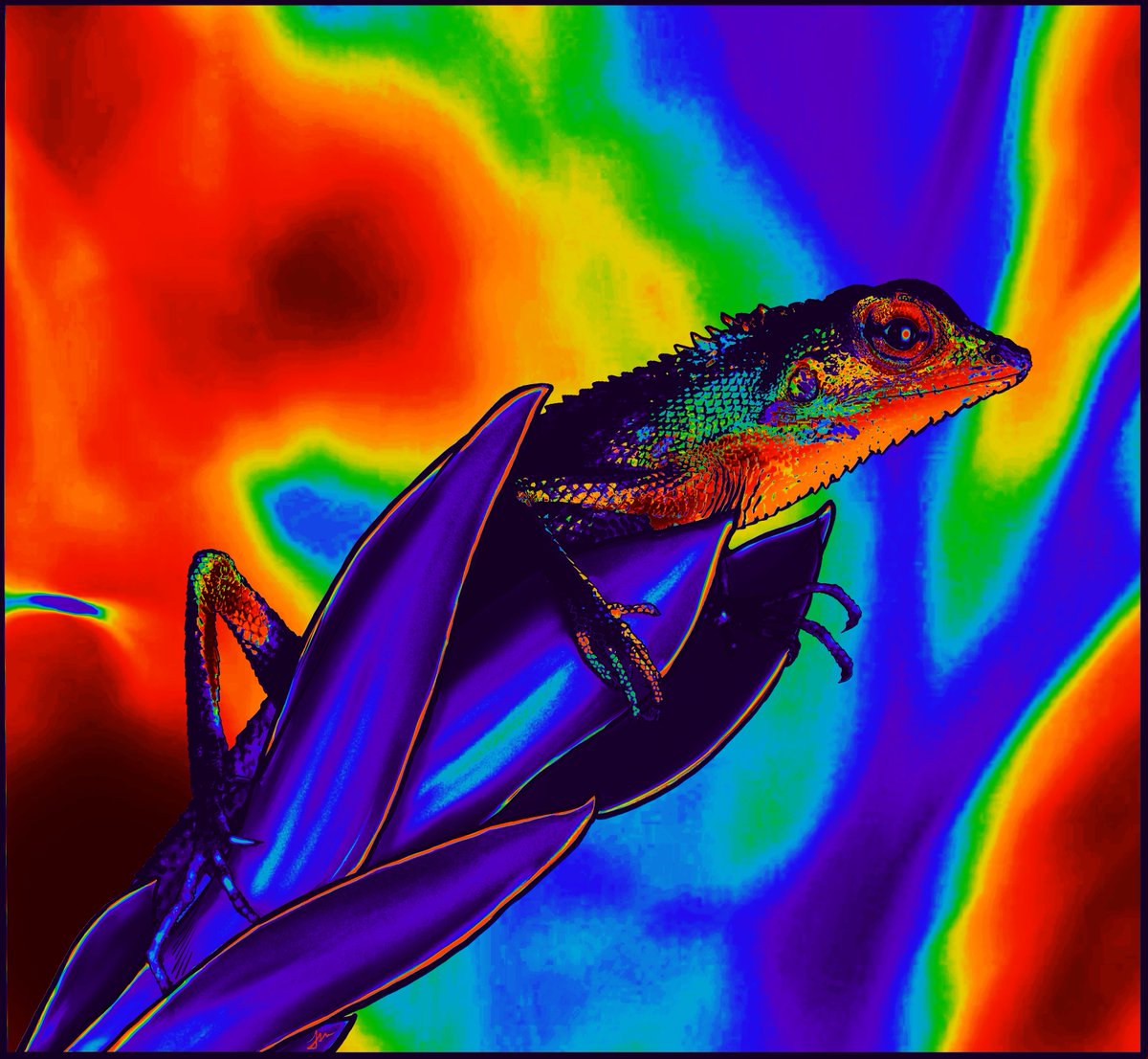 MetaNFTs1's tweet photo. 🙌👀💻⬇️
Wildlife #NFTs, by #NFTartist, @MulrooneyTodd waiting 4 @SuperRare. 
Endangered Species #NFTcollections 
#nfts #nftart #nftartist #nftcollector #cryptoart #digitalart #nftcommunity #art #crypto #ethereum #blockchain #cryptocurrency #cryptoartist #opensea #nftcollectors https://t.co/1Hc87KJ2AI