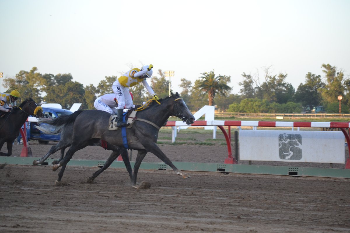 cpulgar28's tweet photo. Se disputó el Gran Premio Dardo Rocha G1 Internacional, sobre la distancia de 2400 metros, para todo caballo de 3 años y más edad, oriundo de cualquier país, en el que se impuso ZURAN ZURAN, son la conducción de francisco Leandro Goncalves, caballeriza Anaxor
#turf #DeTurfUnPoco https://t.co/0PhY9qsi1B