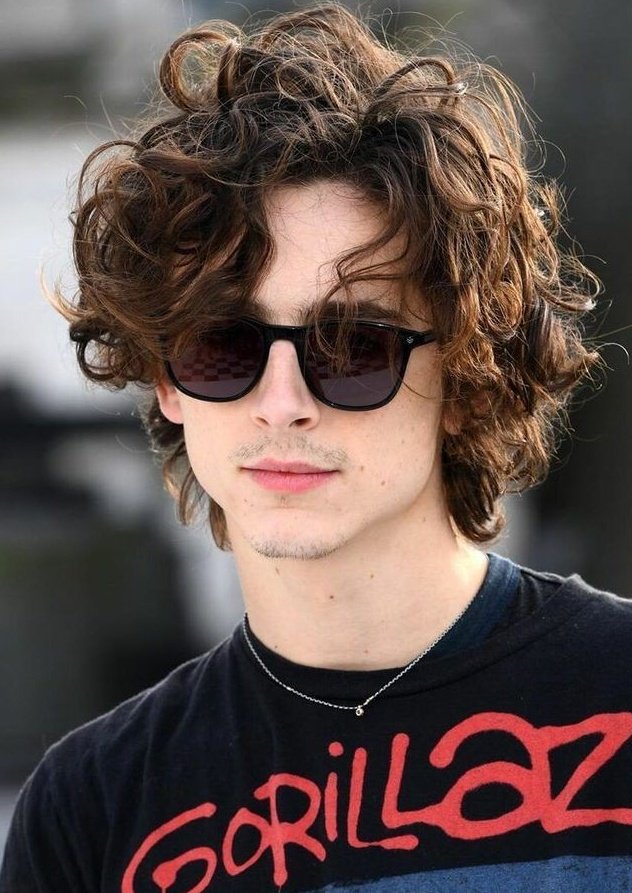 timothée little women era is superior