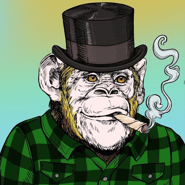 alex69brc's tweet image. @PrimatesSociety is in the midst of the #silverbackSZN 👑
Burn apes-&amp;gt;mint a silverback-&amp;gt;collect #silvertoken-&amp;gt;breed silverbacks-&amp;gt;make baby apes 

LFGGGGG 🔥🔥🔥