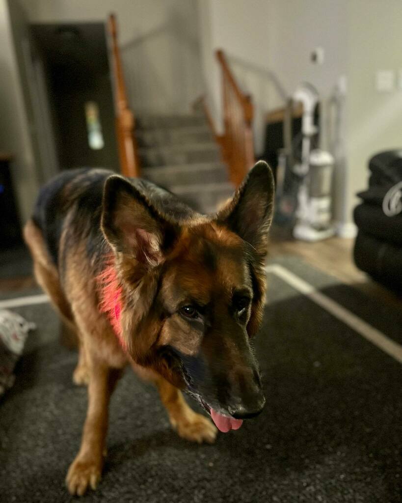 Eric Haug tweet media