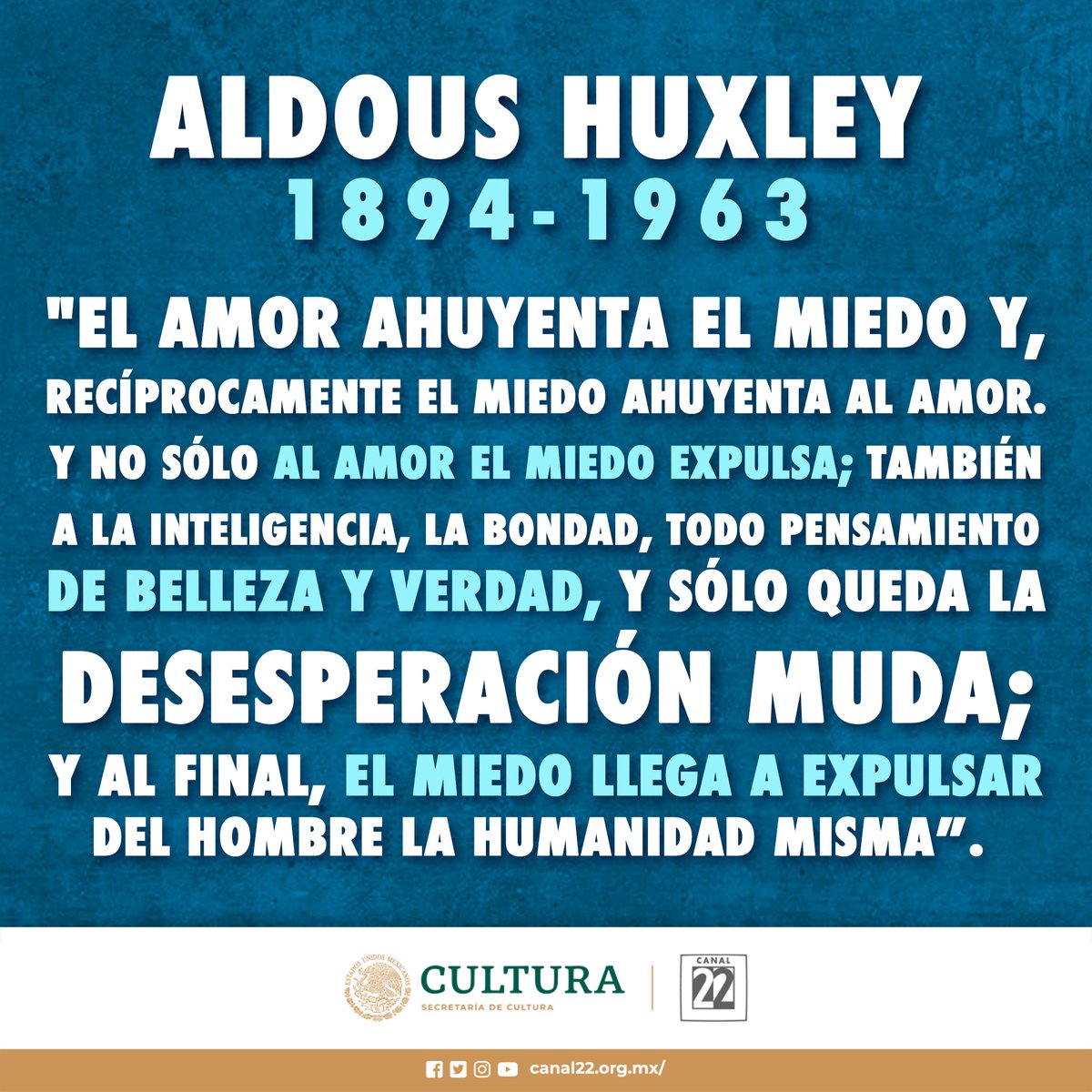 Canal 22 México tweet media