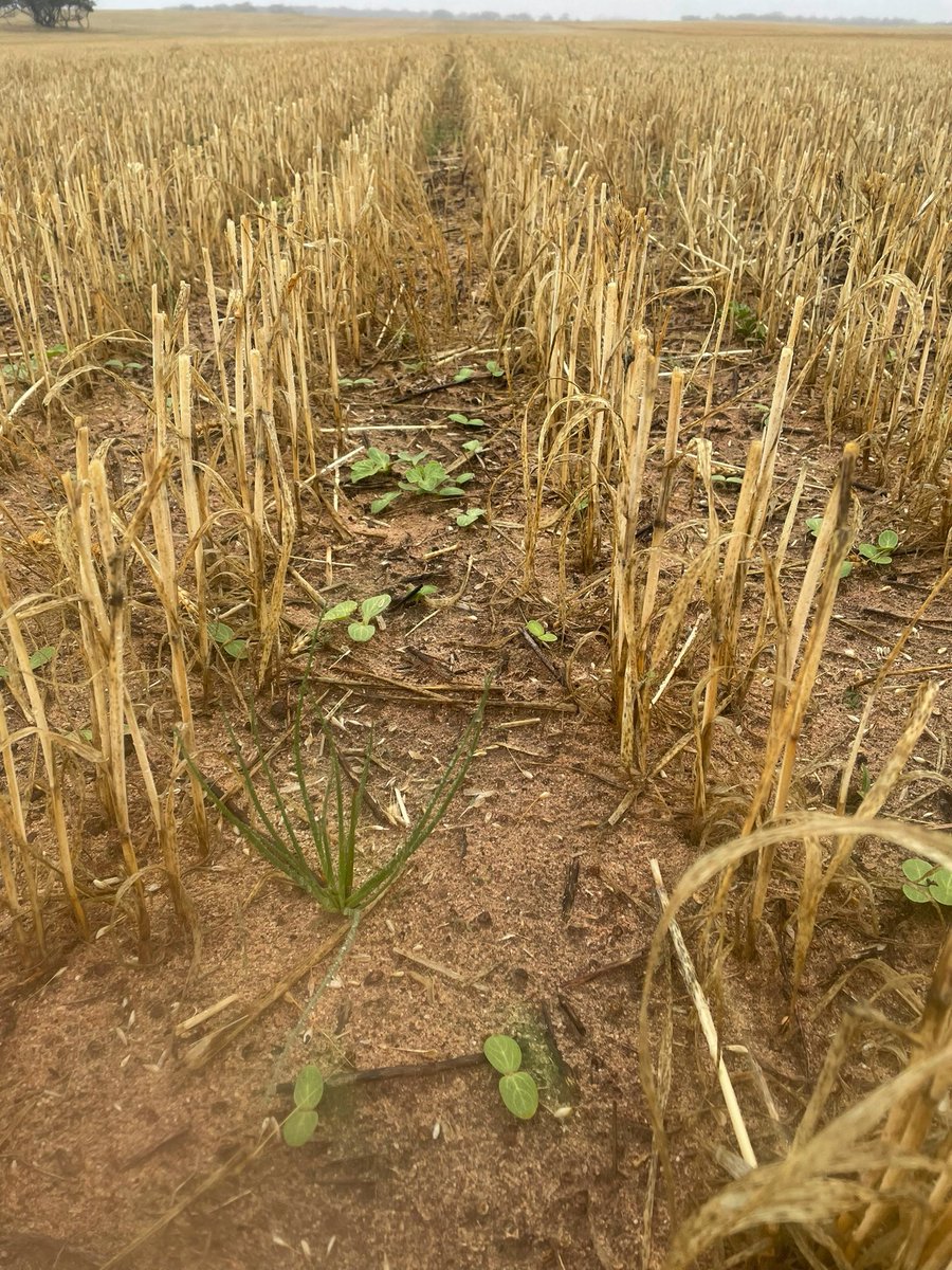 Jeff Bigg tweet media