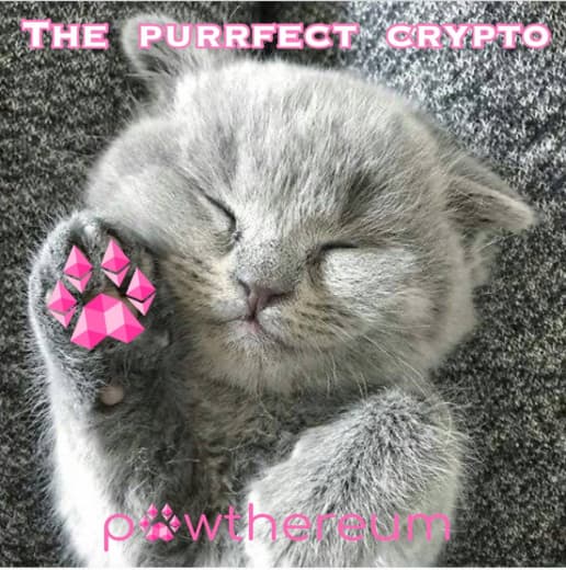 DefiMaximus's tweet photo. $PAWTH is going to change the crypto charity GAME. Are you ready? π₯ππ
#floki #FlokiVikings #FlokiLoki #dogecoin #doge #NFT #NFTs https://t.co/xaGevo7RQ7