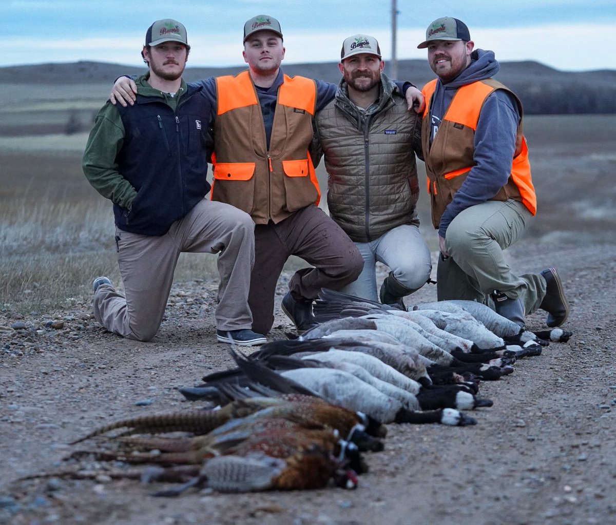 ccduckcall17's tweet photo. Honkers and some pheasants this evening!! https://t.co/VqB7hbXz9i