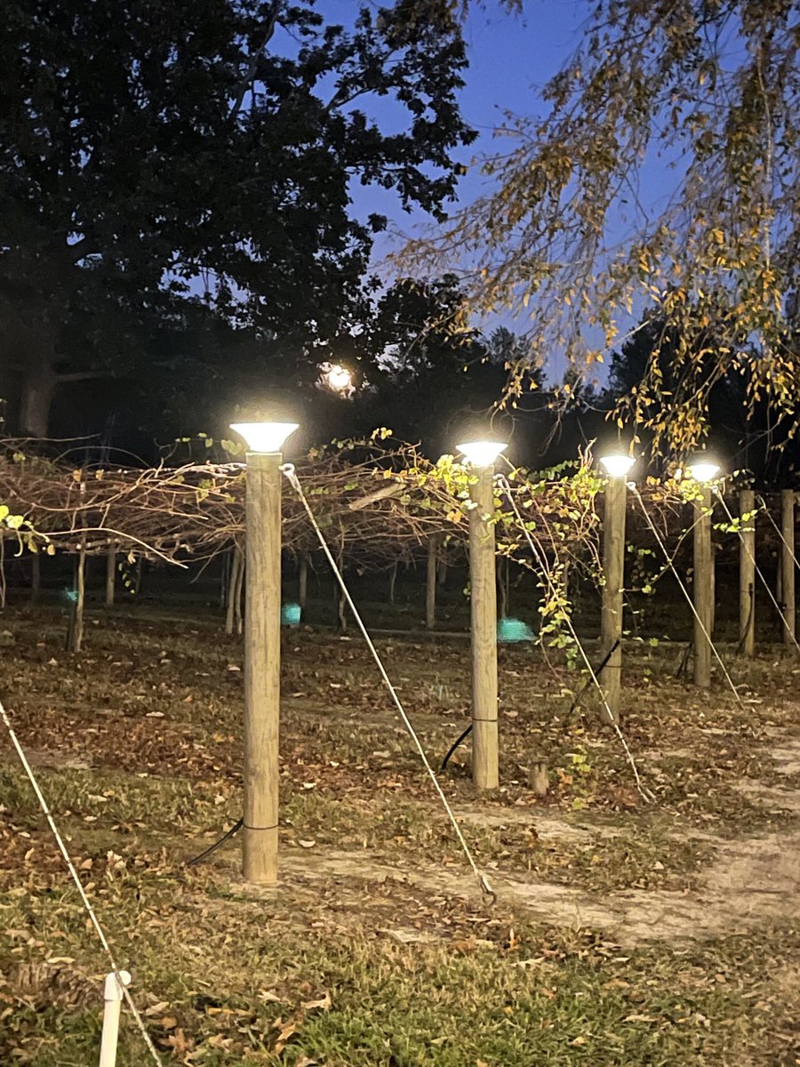 GSV0920's tweet photo. Full moon ⁦@FreeStateCellar⁩ resting and relaxing. #ourhappyplace #freestatecellars  #fridaynight https://t.co/vKGv8SnVIC