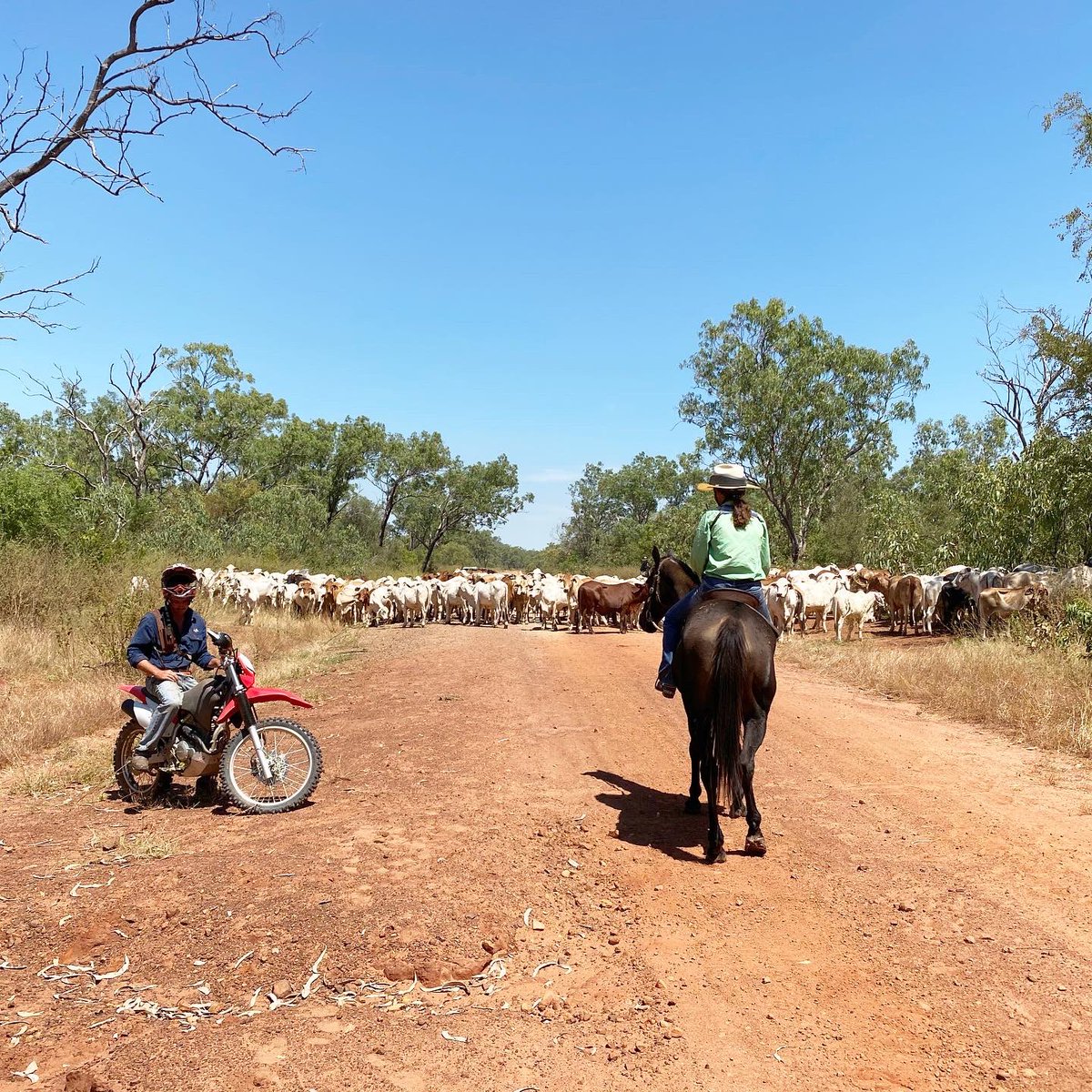 AAM Investment Group tweet media