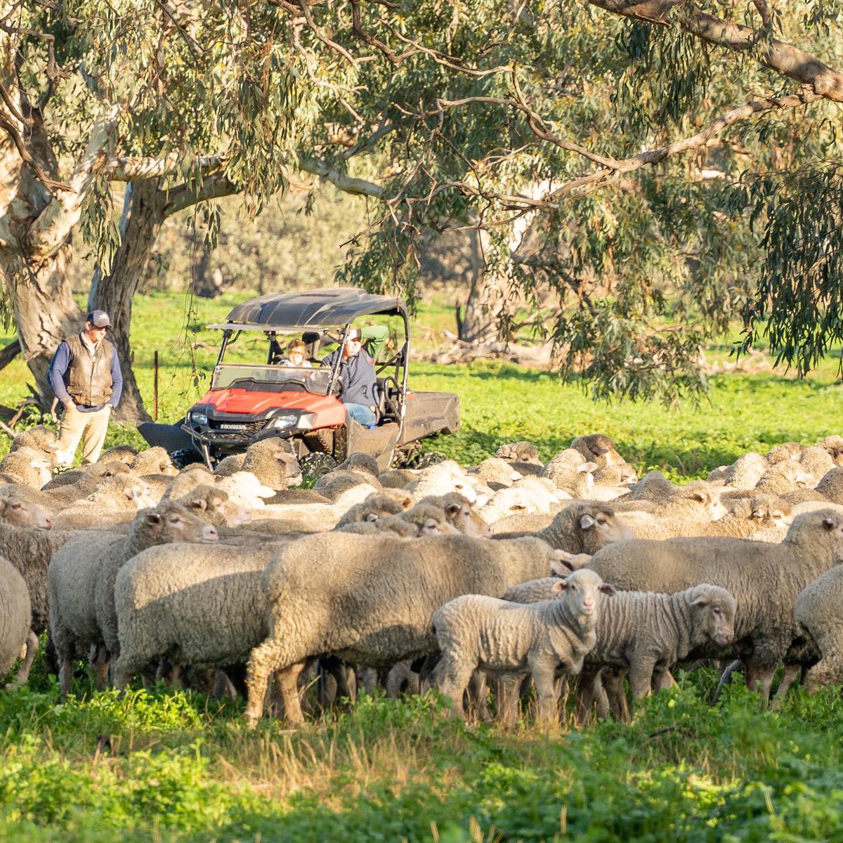 AAM Investment Group tweet media