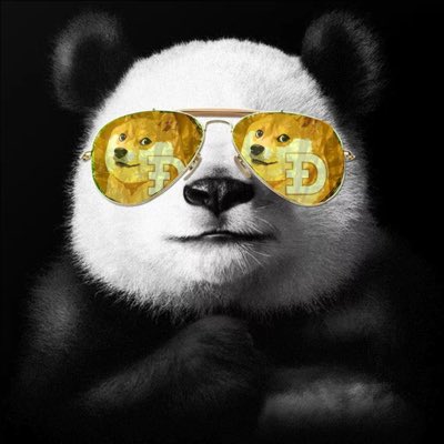 topher2825's tweet photo. Panda got a new set of shades ๐๐๐๐ผ๐ผ๐ผ #dogearmy #dogecoin #dogepanda #NewProfilePic https://t.co/5ae2f2lyYI