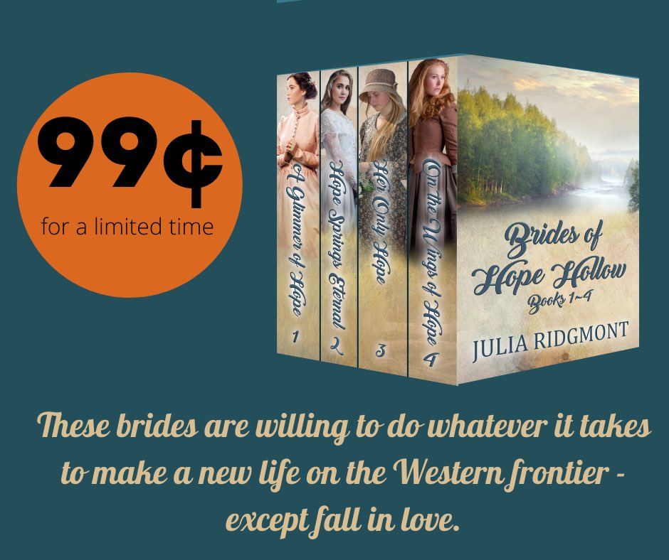 Terrific deal on this box set! 99 pennies gets you 4 books! amazon.com/dp/B09LRBCT9X/