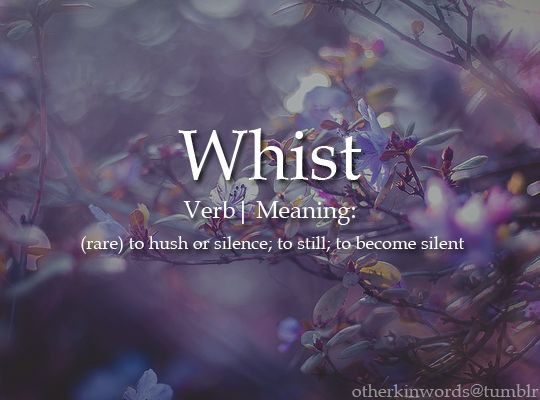 Summer__Phoenix's tweet photo. #Word | #ObscureWord | #RareWord https://t.co/x14qB1msav