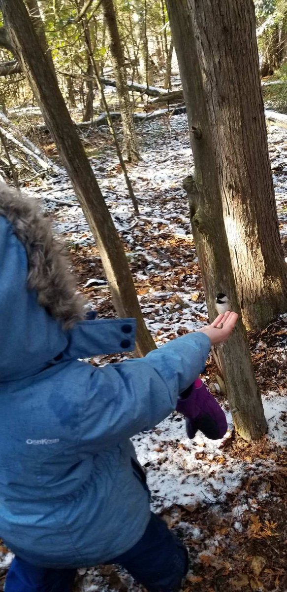 library_GPS's tweet photo. Feels so good to get the students back to the Nonquon @DDSB_OutdoorEd There is nothing better than the great outdoors and a chickadee feeling. @Greenbank_PS https://t.co/pLUicZO1it