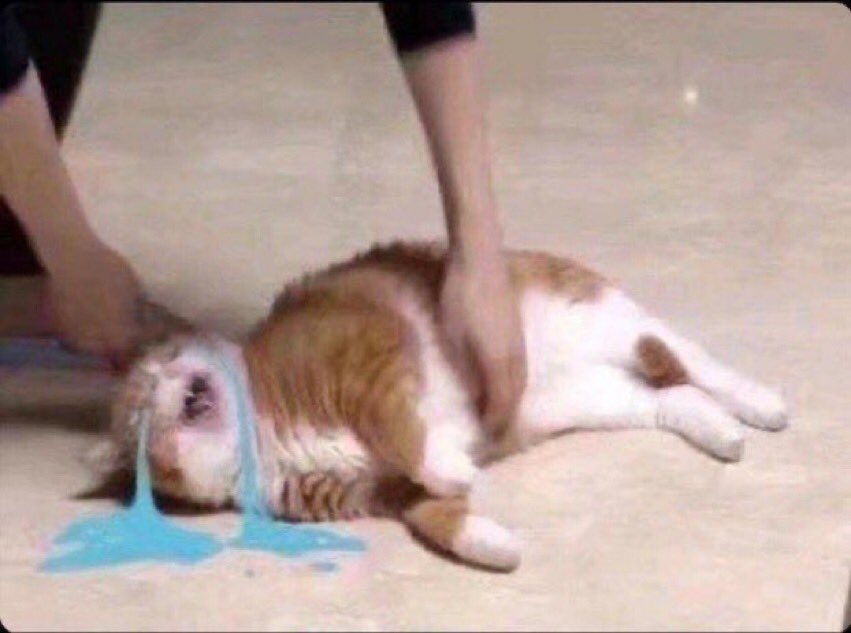 OneThumbAlex's tweet image. Watching the last episode of #BuzzfeedUnsolved