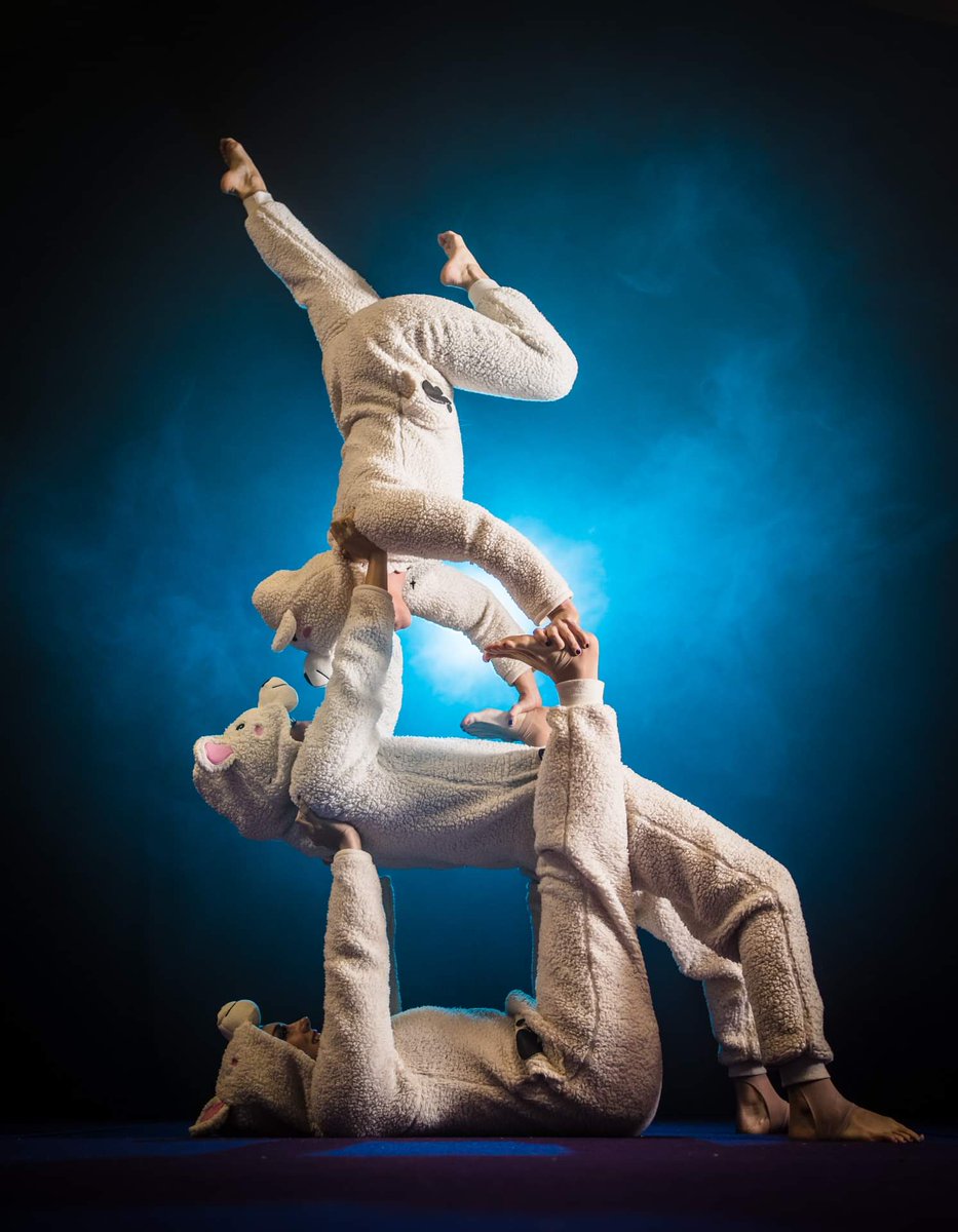 AdventureCircusPerth tweet media