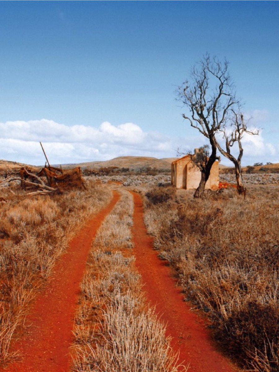 "DRY" is a fierce &amp; funny play exposing our relationship to the land, the First People, refugees &amp; each other. Written &amp; Directed by Catherine Fitzgerald. LAST SHOWS TODAY 3pm + 7:30pm @ Hart's Mill in #PortAdelaide @StateTheatreSA Ages 14+ Info: theatreguide.com.au #theatre