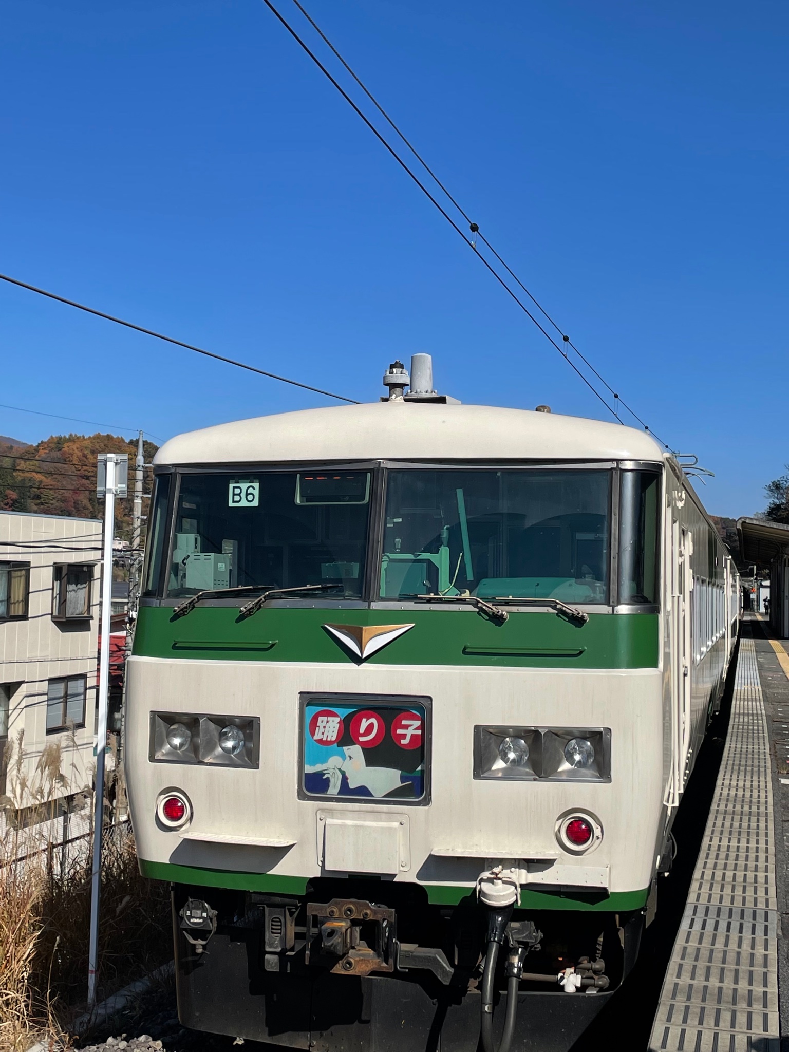 【新宿～伊豆急下田】185系踊り子復活運転　貨物線内で消灯サプライズも