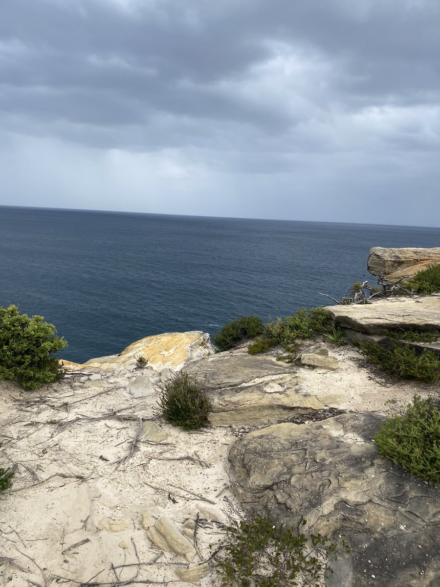 CatherineActive's tweet photo. Royal national park https://t.co/WvO8r7ruJx