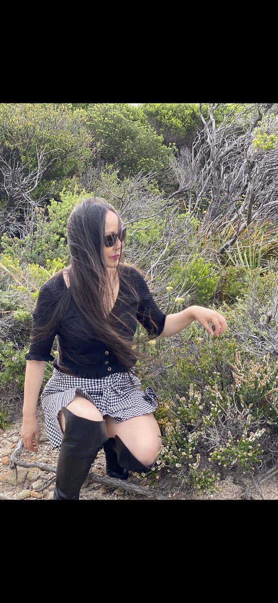 CatherineActive's tweet photo. Royal national park https://t.co/WvO8r7ruJx