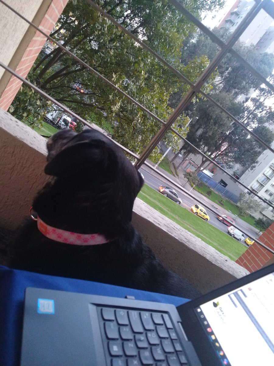 angerin46's tweet photo. Mi homeoffice!! 🥰🦇 https://t.co/ooeU8ZsIdw
