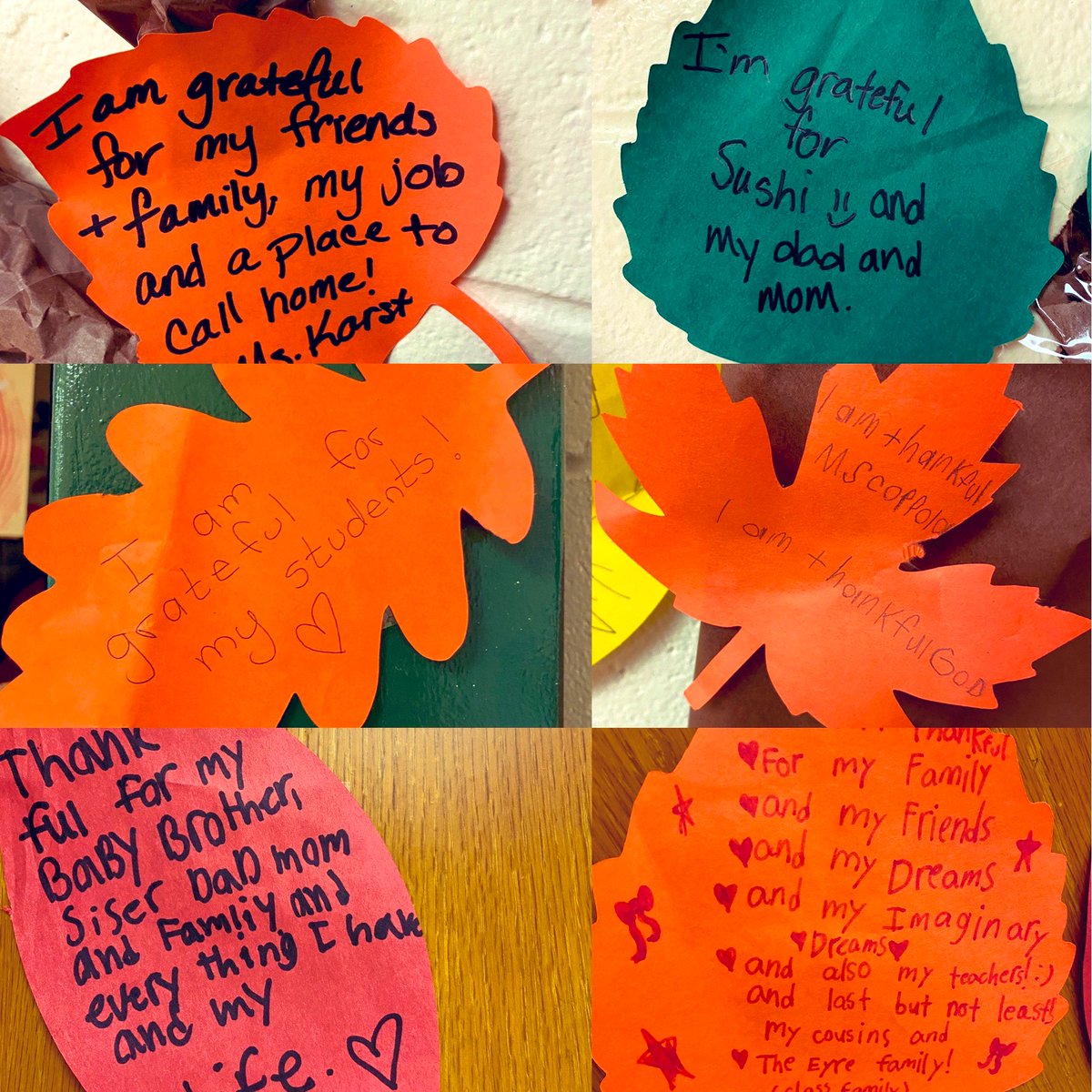 Our Elmwood Family collaborated on our gratitude tree to share what we are grateful for. 💚🦅Special thanks to <a href="/ElmwoodSCC/">Desirae F.</a>, @ElmwoodArtStudo and <a href="/ECiganek/">Elizabeth Ciganek</a> <a href="/elmwoodes/">Elmwood Elementary - A Community School</a>