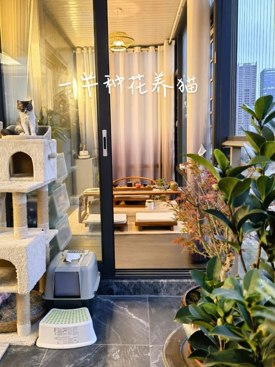 小仙讲故事（互fo） tweet media