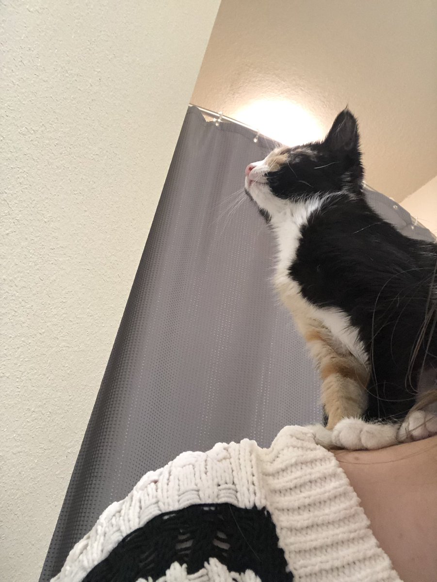 Willow___Pillow's tweet photo. @TAS_Snoop Ok that’s all https://t.co/NxG1cXqcFN