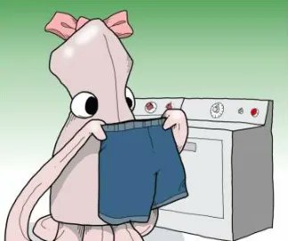 laundrovan's tweet photo. Urine: soak w/cold water w/ ½ cup bakingSoda. NEVER USE HOT; it will cook stain in. Then wash hottest water w/ usual detergent &amp; 1 cup bakingSoda. If the stain is dried, soak in cold water w/oxi for 30 mins. Launder in warm water w/ regular soap #tip #laundrytip #landrovan #COS https://t.co/MWrwmWQcCU