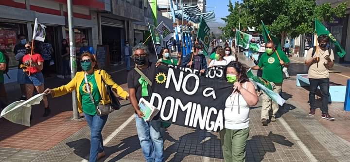 Academica2021's tweet photo. Este #21de Noviembre, @ecologistachile reafirma el compromiso con #NoADominga https://t.co/0Xat7REd7w