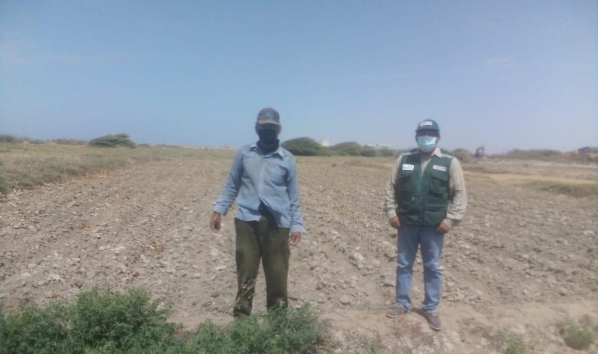 agroruralPER's tweet photo. #Piura La jefa zonal de #AgroRural, Katiusca González, dio inició  al plan de georreferenciación de parcelas, las acciones del Programa Presupuestal 121, Campaña Pastos y Forrajes 2021-2022, en los sectores de #San Luis y #Miramar del distrito de #Vichayal, provincia de #Paita. https://t.co/hsd9JQzKwj
