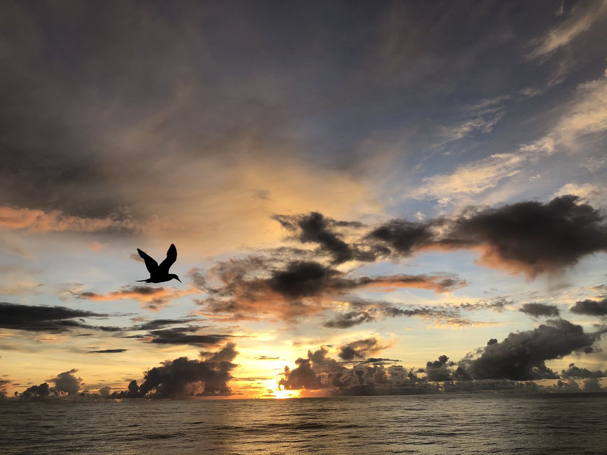ClaassensLouw's tweet photo. The #palaunationalmarinesanctuary skyline - what a beauty! #ourpnms #offshore #palau #oceansolitude https://t.co/oCV0bqMN4I