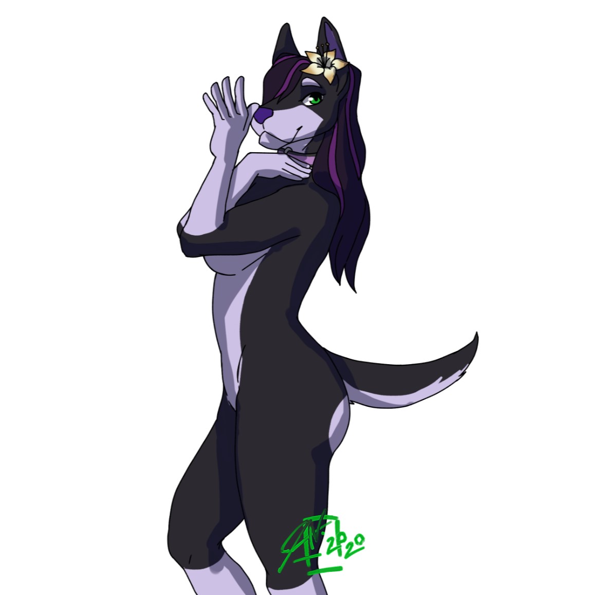 Dixie Pup tweet media