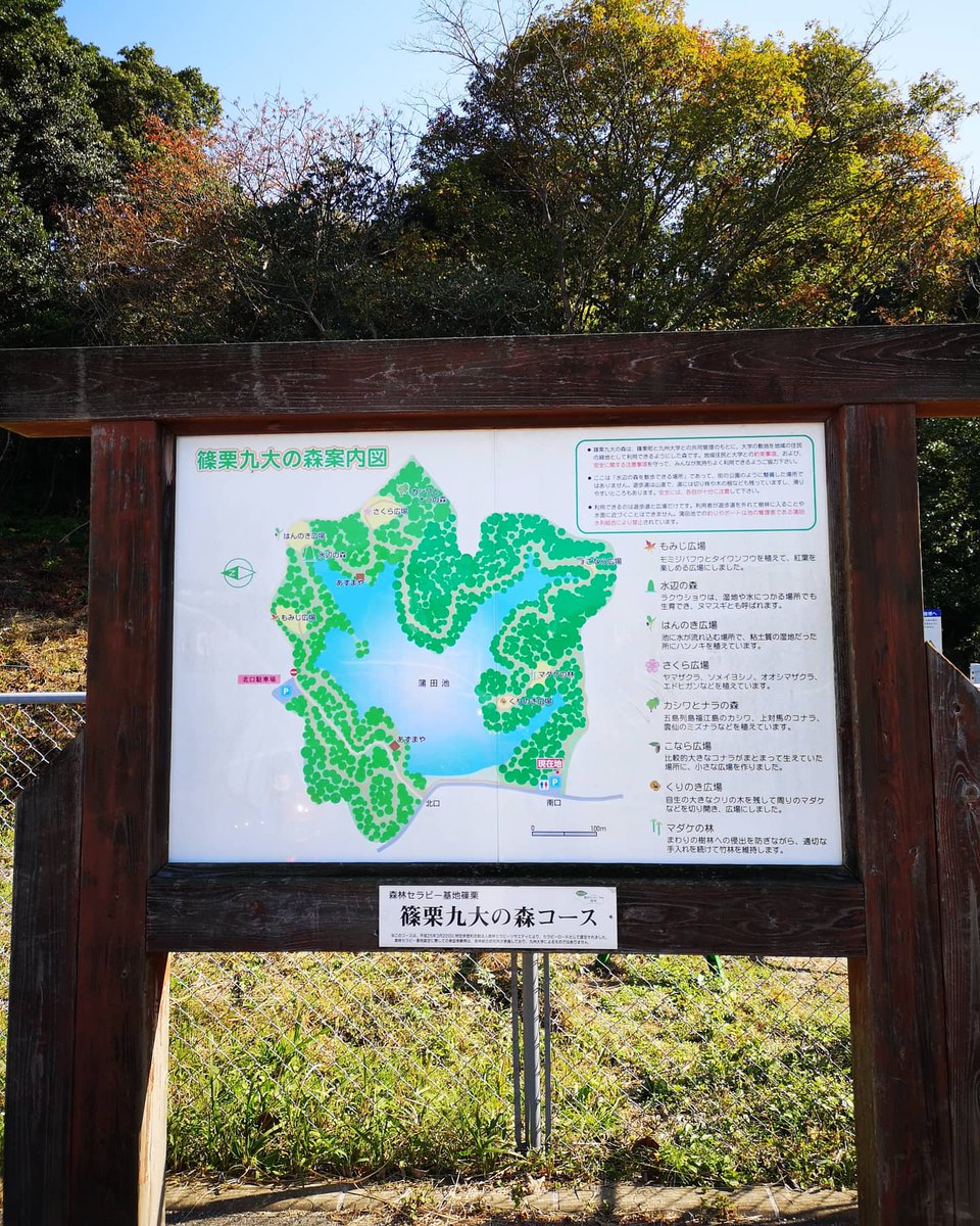 Y_KING_ab's tweet photo. 篠栗九大の森🍁

#紅葉
#篠栗
#篠栗九大の森 https://t.co/8Pb2tmp0sY