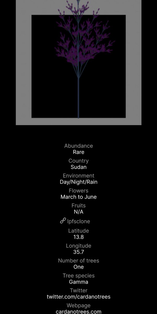 Cybird🦉 (@dispositionedar) on Twitter photo It's been a while since I've done a giveaway and I'm feelin good
<a href="/CardanoTrees/">CardanoTrees</a> has been an inspiration to my team and I, so I like to spread awareness of their project where I can
To enter for a Rare Gamma from Sudan-
🌲Like
🌲Retweet
+-48hrs I will announce the winner
#CNFTs It's been a while since I've done a giveaway and I'm feelin good
<a href="/CardanoTrees/">CardanoTrees</a> has been an inspiration to my team and I, so I like to spread awareness of their project where I can
To enter for a Rare Gamma from Sudan-
🌲Like
🌲Retweet
+-48hrs I will announce the winner
#CNFTs