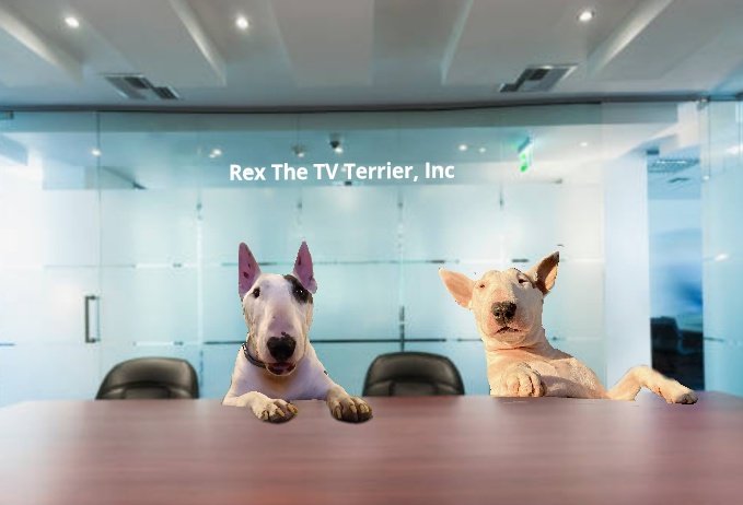 rexthetvterrier's tweet photo. I am very pleased to announce that my pal Arlo @keith_pete has joined our team! His official title will be Rescue Ambassador. As a rescue himself, Arlo is going to help us develop some rescue outreach programs. We are excited!
#RexInc
#partnership
#AmbassadorArlo
#Helpingpets https://t.co/pvEmxbwoZk