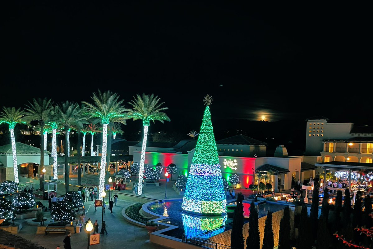 yedi31's tweet image. Desert moonrise and Yuletide cheer #lplmasters