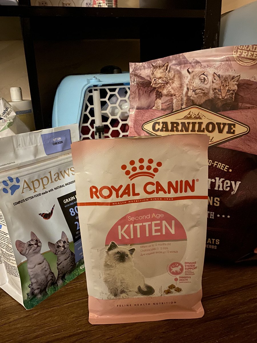 الدحمي. tweet media