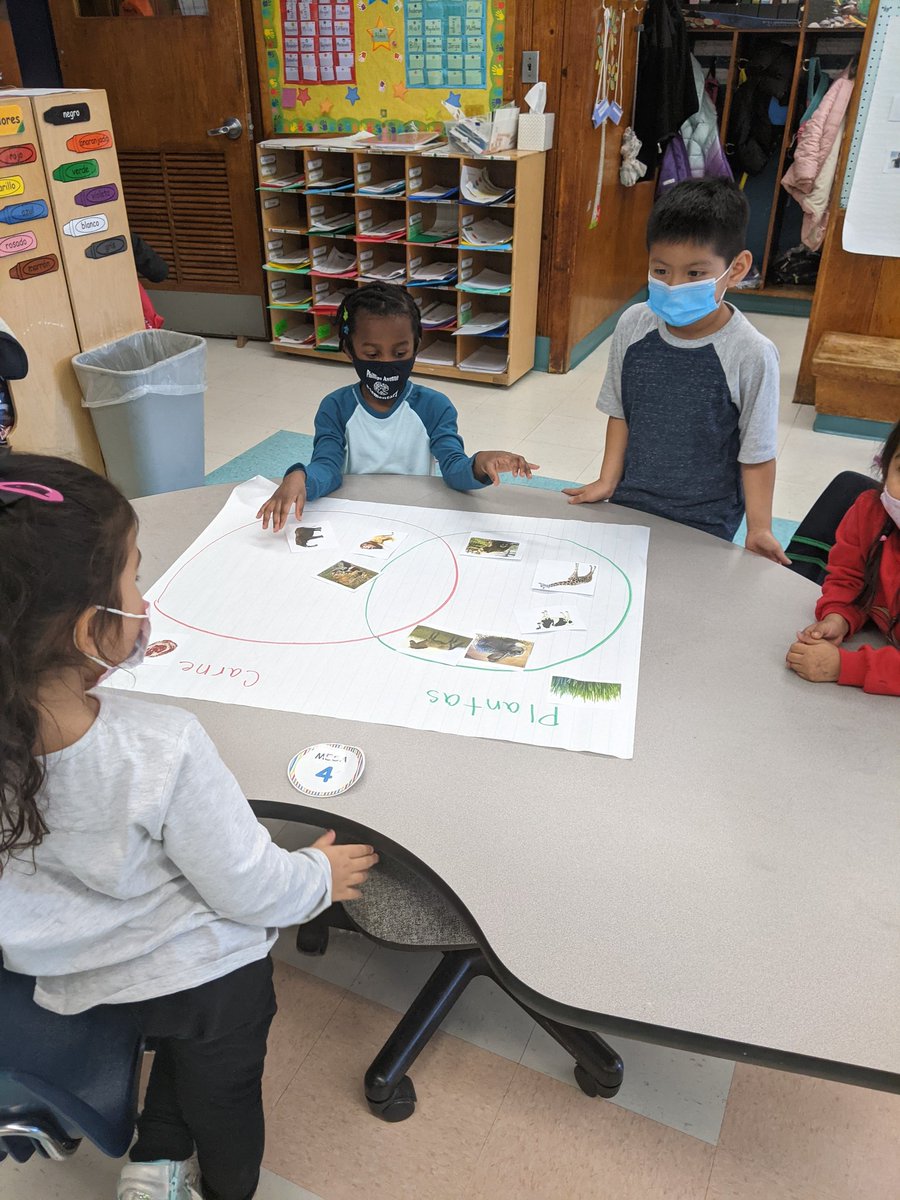 MrsTomer_Rm16's tweet photo. ¡La semana de mamíferos en zoología! Clasificando los mamíferos de acuerdo de lo que comen en el programa de idioma dual. Mammals week in zoology! Sorting mammals according to what they eat in dual language 🌿🥩 #phwaves @PhillipsAveElem @MsJacobs_Rm_15 @AmericanReading https://t.co/C3Moi5jtqC