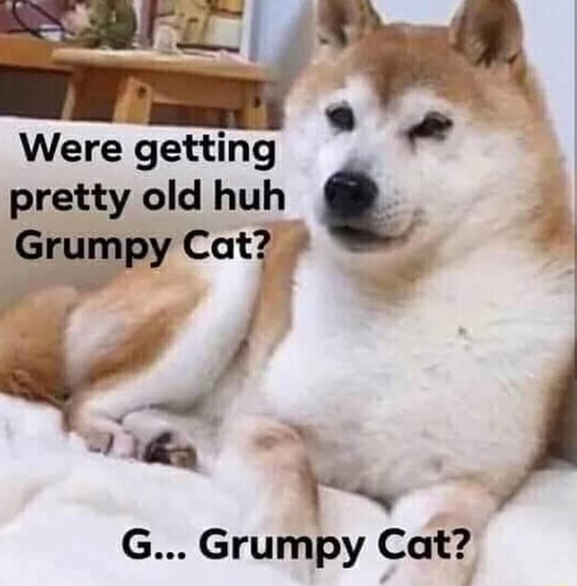 ProjectVirginia's tweet photo. #FridayNightMemeDump part 5 What a drag it is https://t.co/nXxFKzmLCf