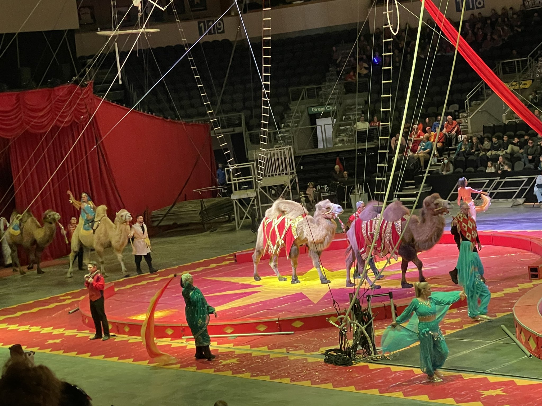 Circus Knoxville Tn MaryannSabah