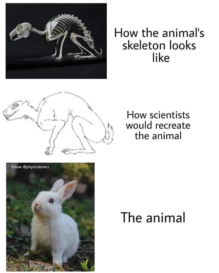ProjectVirginia's tweet photo. #FridayNightMemeDump part 7 It's Science(TM)! https://t.co/qgNpNWJdLl
