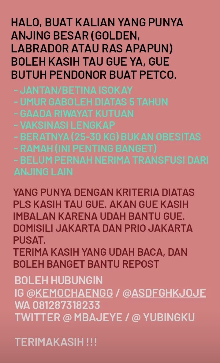 reneshoned's tweet photo. help rt moots^^

halo temen2 dog lovers terutama yang di jakarta dan sekitarnya, aku butuh bantuan kalian. jika ada yang bersedia membantu anjing aku, dia di diagnosa ada anemia, jadi kemungkinan akan membutuhkan transfusi darah.

selebihnya ada di foto ya, terima kasih! https://t.co/gq8upAI6RV
