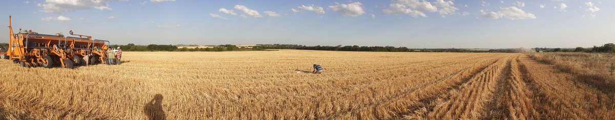 Cuando el tiempo apremia...