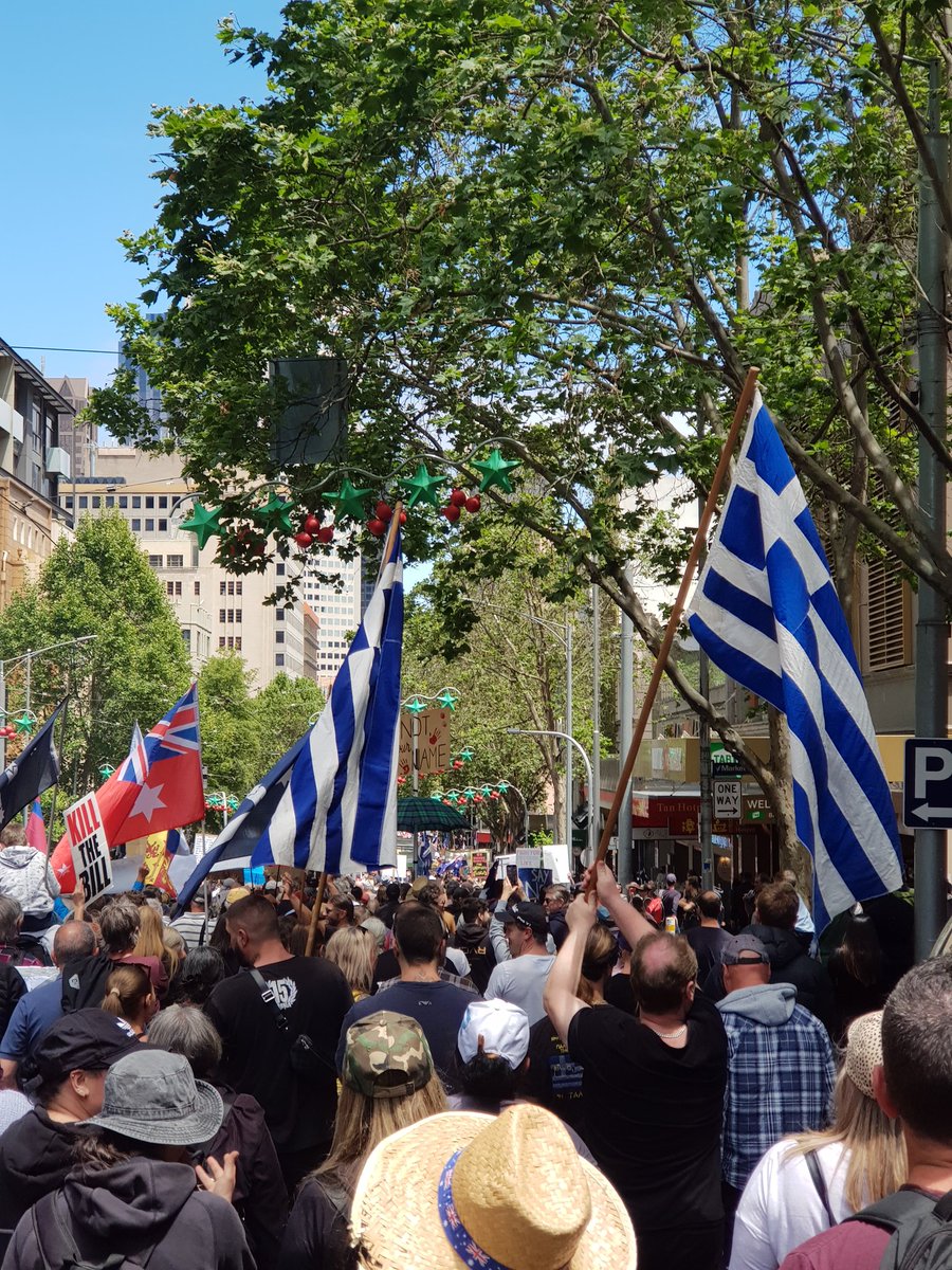 Sandy Togs 🦅 tweet media