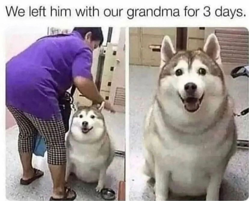 Absurtity's tweet image. gah DAMN that boy thiccc as SHIT